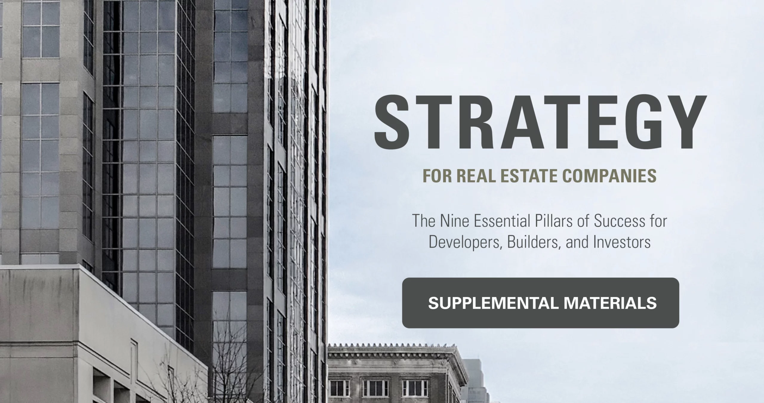 StrategyCover Web Supplemental Materials scaled